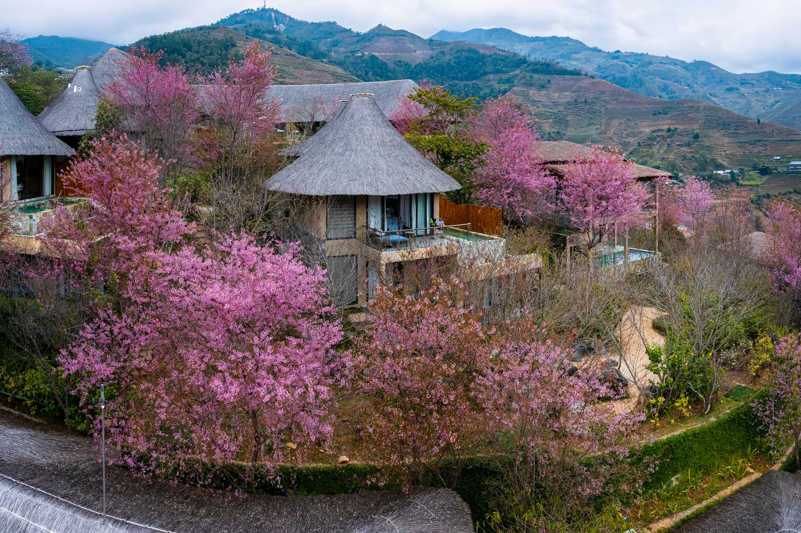 Mù Cang Chải