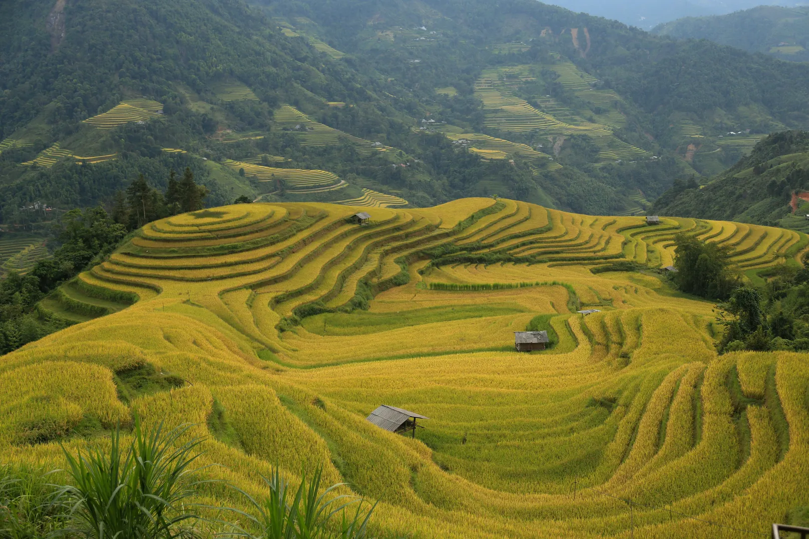 Hà Giang