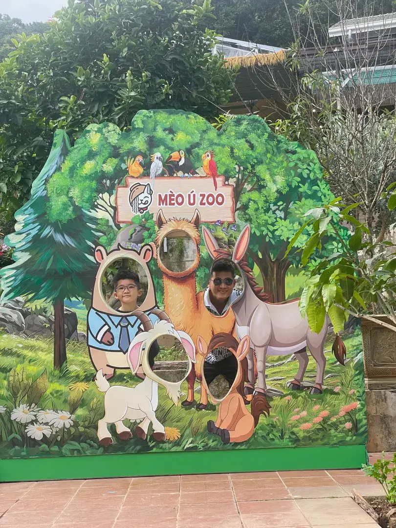 [REVIEW THẬT] Thế Giới Mèo Ú Đà Lạt – Ối Giời Ơi, Đi Một Lần Cho Biết! 1